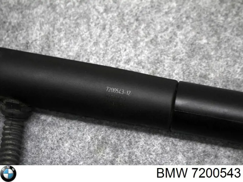 Амортизатор двері задньої BMW 7200543 ціна, від 84.54 USD