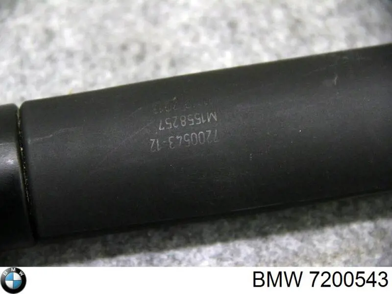 Купити 7200543 BMW Амортизатор двері багажника