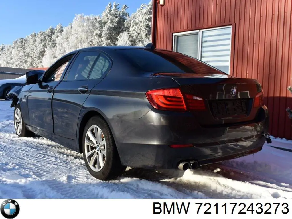 72117243273 BMW 