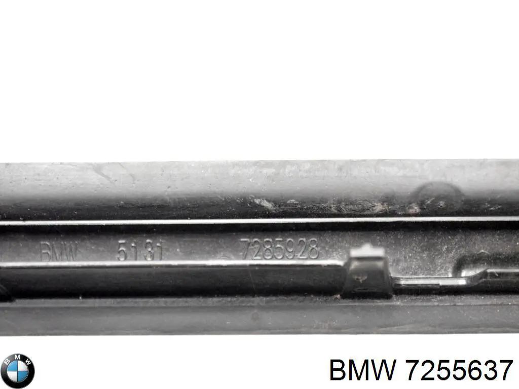 Купити 41007255637 BMW 