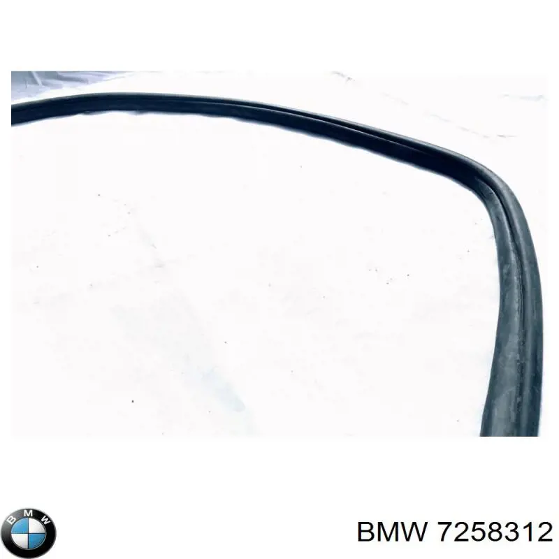 7258312 BMW 