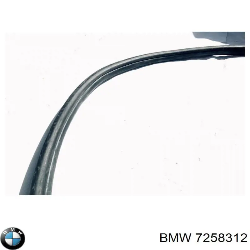  BMW 7258312 ціна, від 30.93 USD