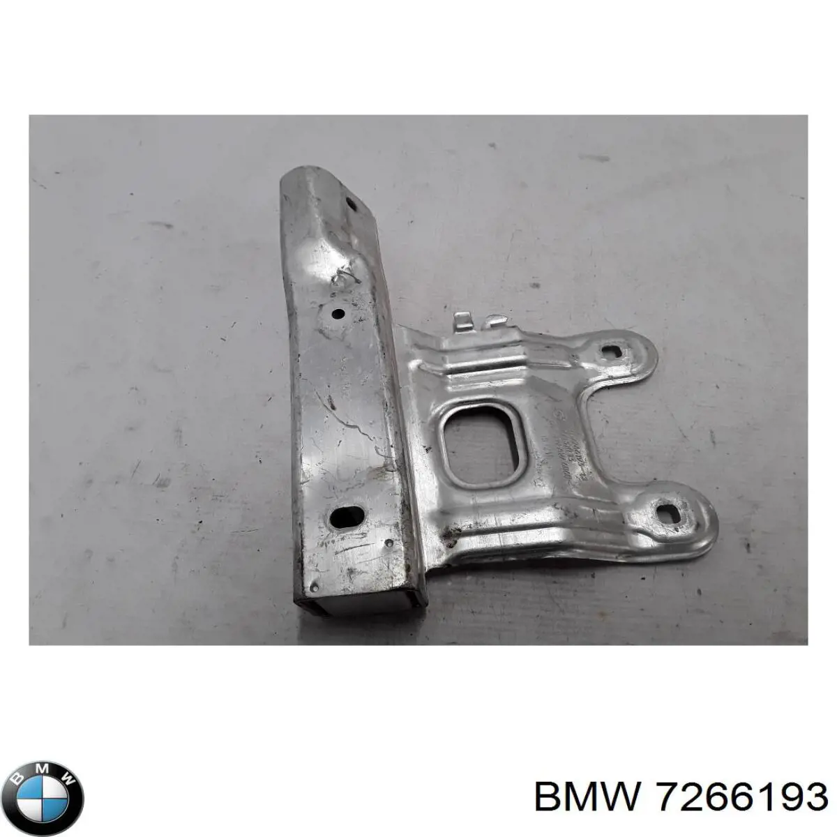  7266193 BMW