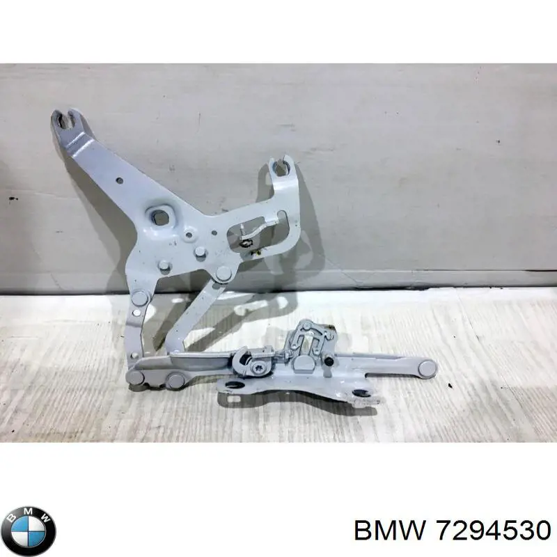  7294530 BMW