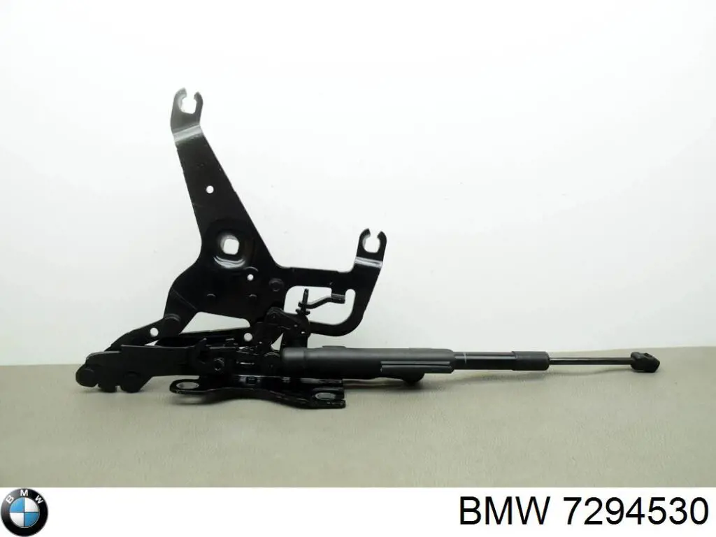  BMW 7294530 ціна, від 36.90 USD