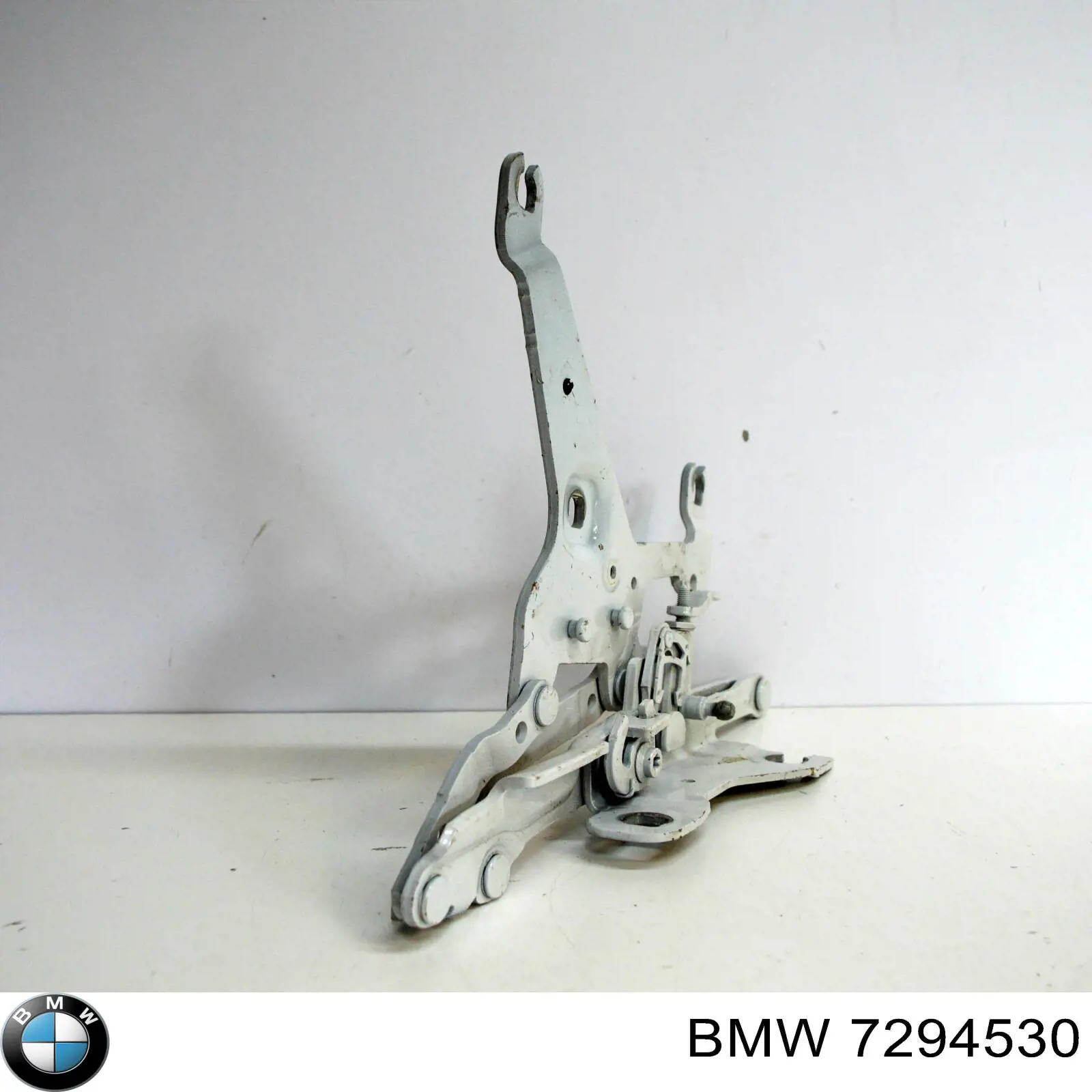 7294530 BMW 