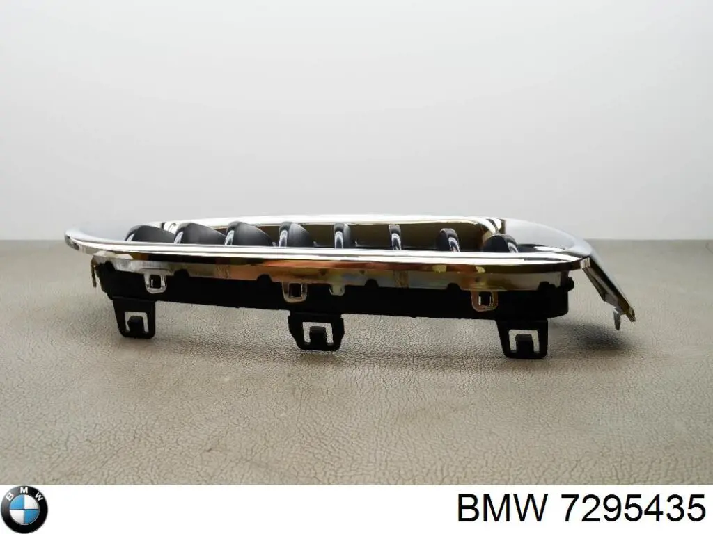 7295435 BMW 