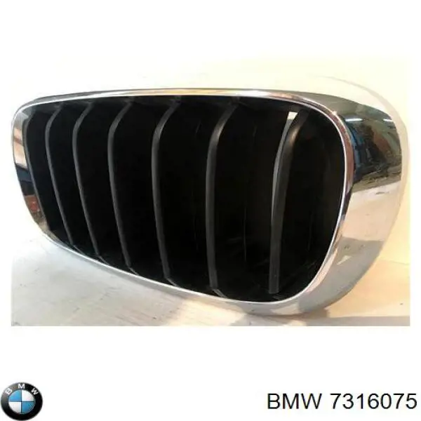 Купити 7316075 BMW 