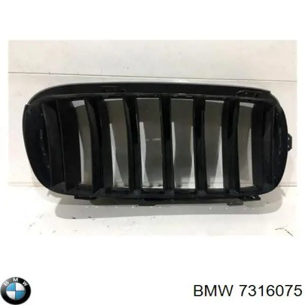  7316075 BMW