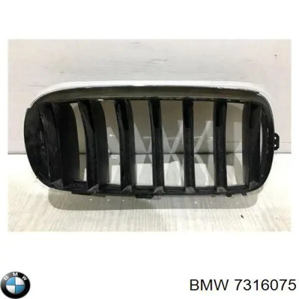 7316075 BMW 