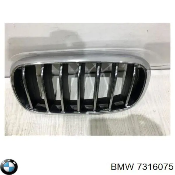  BMW 7316075 ціна, від 19.00 USD