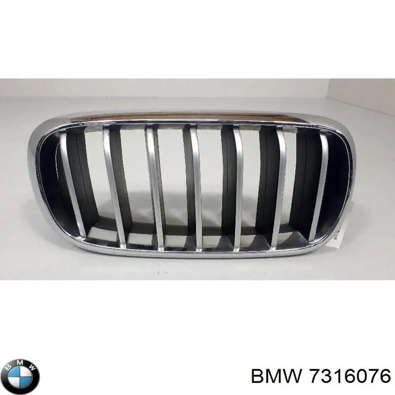 Купити 7316076 BMW 