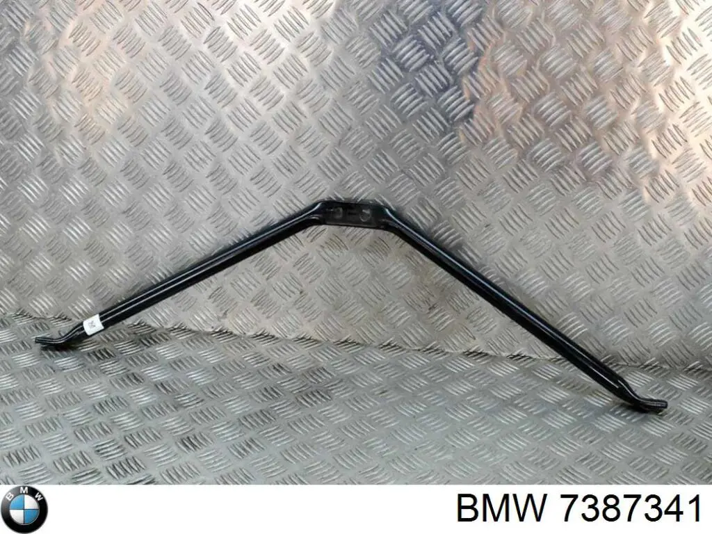  7387341 BMW