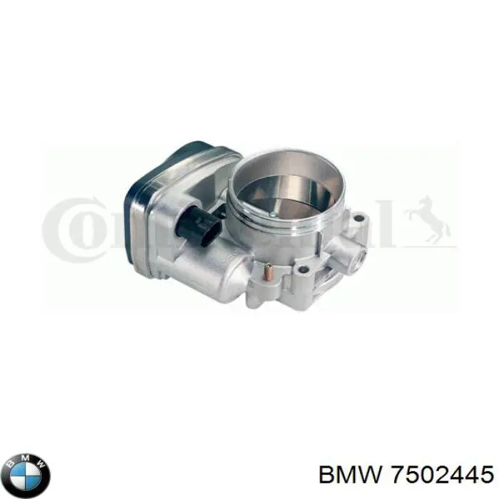 Дросільна заслінка 7502445 BMW