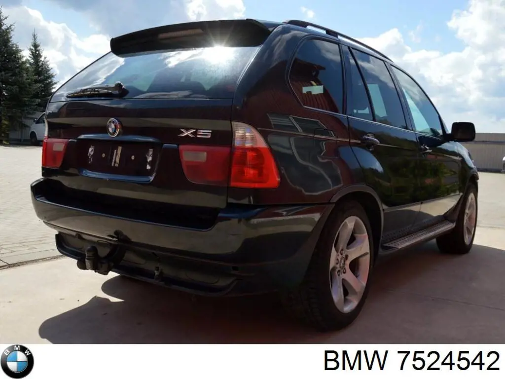 Купити 7524542 BMW Редуктор передній