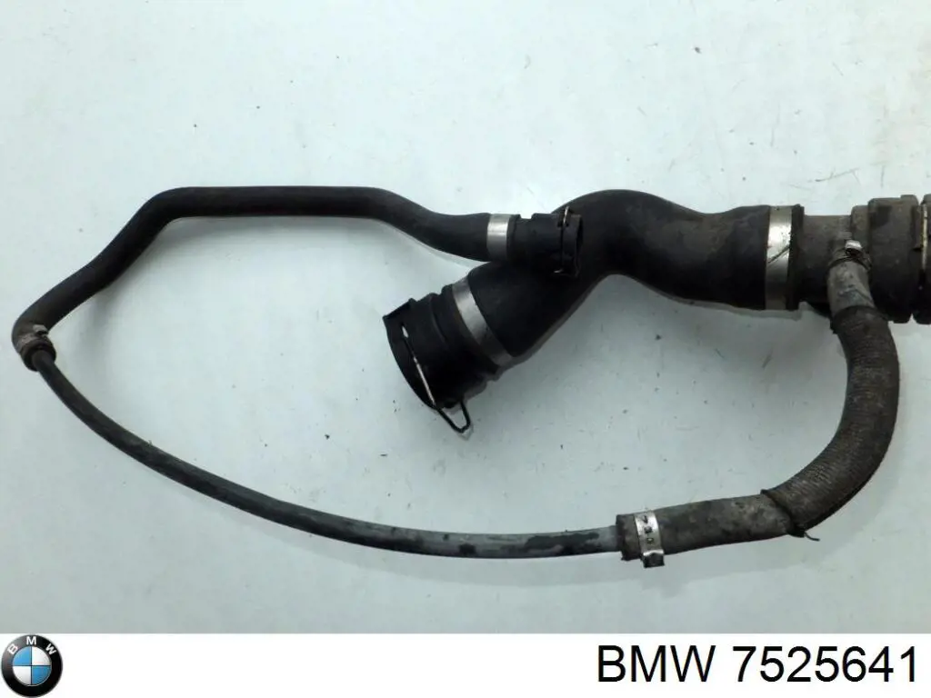 7525641 BMW