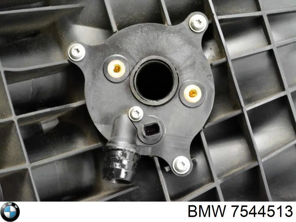 7544513 BMW 