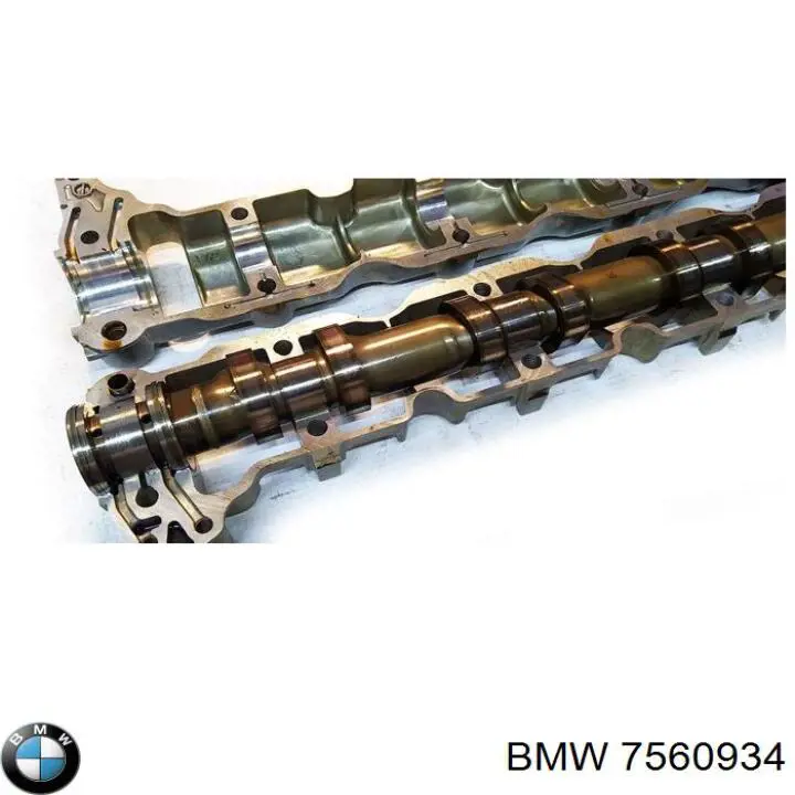 Розподільний вал двигуна випускний 3M109046 AND