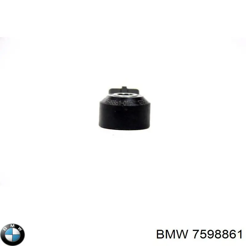 Датчик самозаймання BMW 7598861