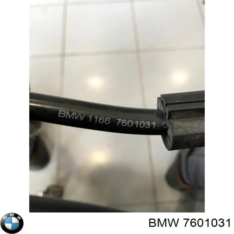 11667601031 BMW 