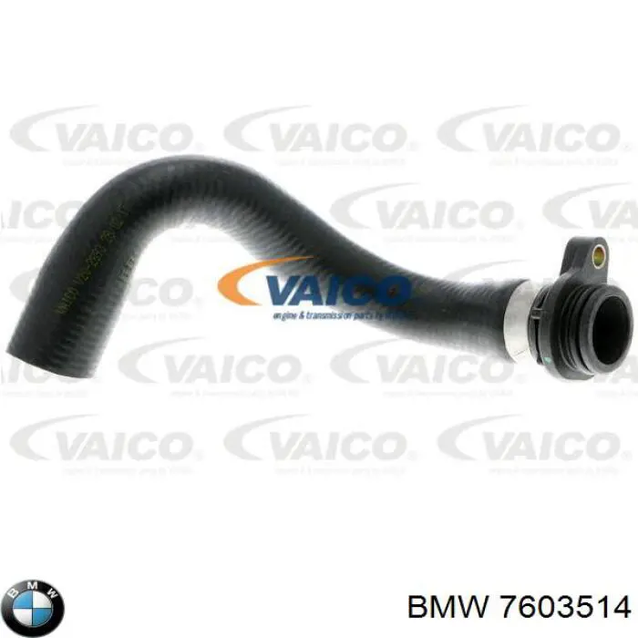 Купити 7603514 BMW Шланг (патрубок) термостата