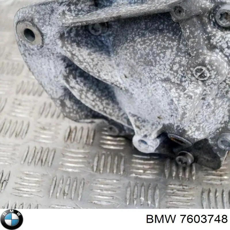 7603748 BMW Задній редуктор