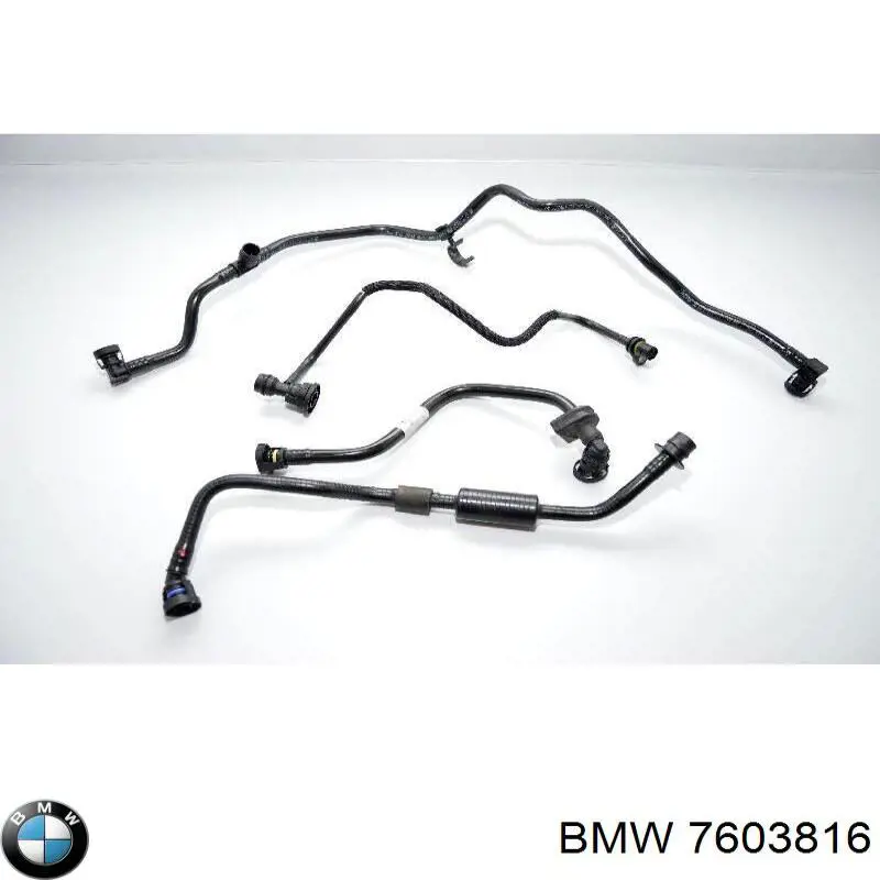 Патрубок вентиляції картера 7603816 BMW