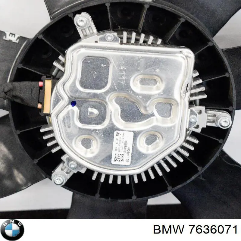 7636071 BMW 