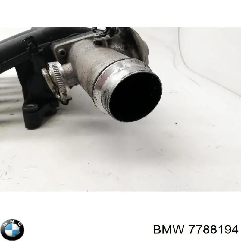 Колектор впускний BMW 7788194 ціна, від 65.84 USD