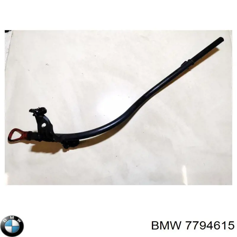 7794615 BMW 