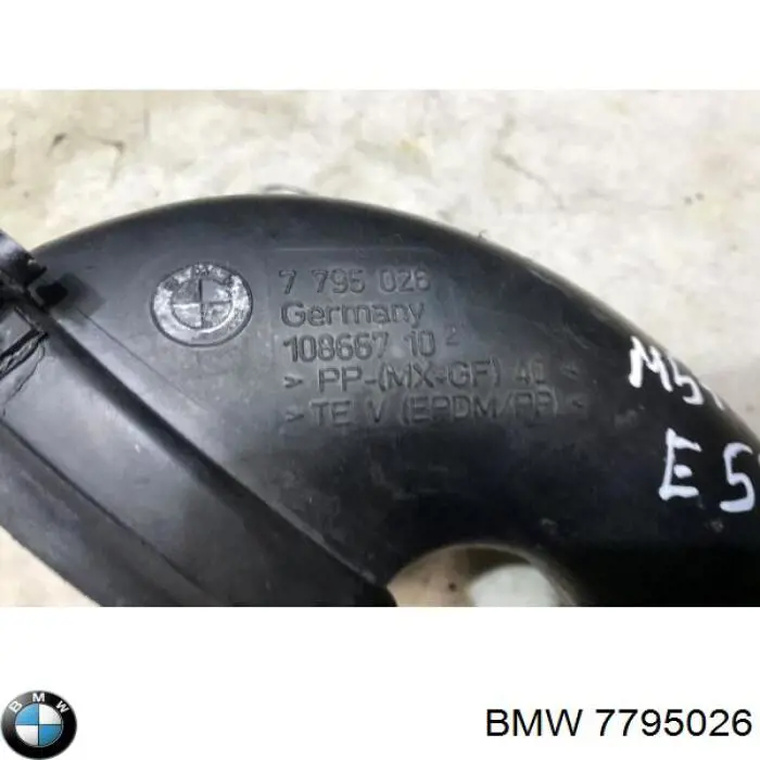 7795026 BMW 