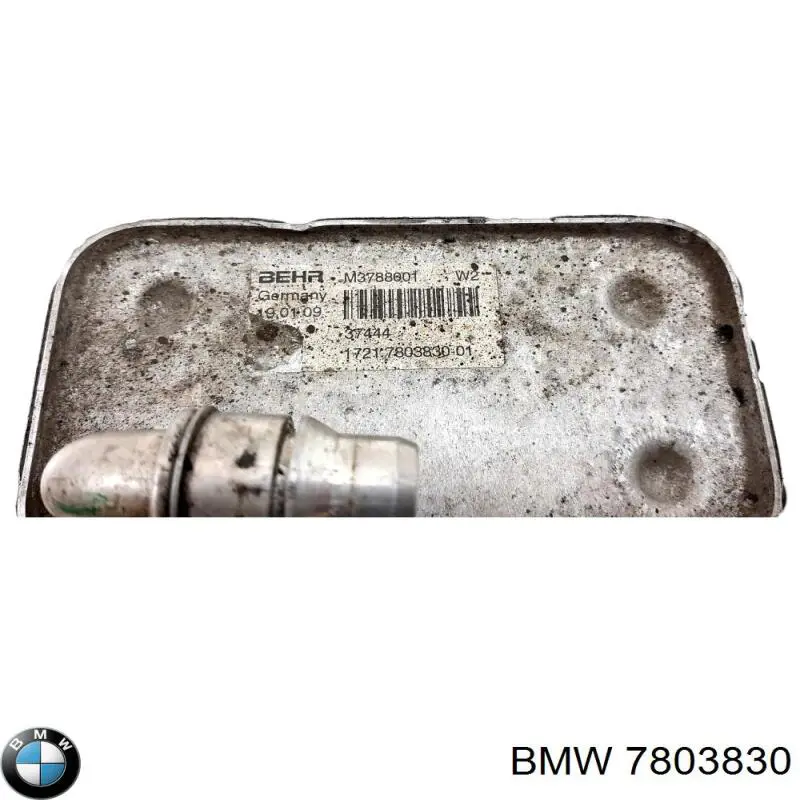 7803830 BMW Радіатор охолодження, АКПП