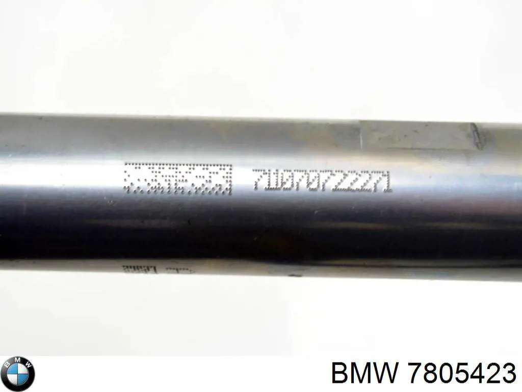 7805423 BMW Паливна рампа
