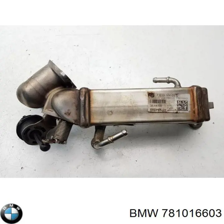  781016603 BMW