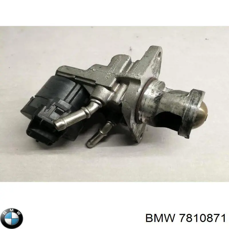  7810871 BMW