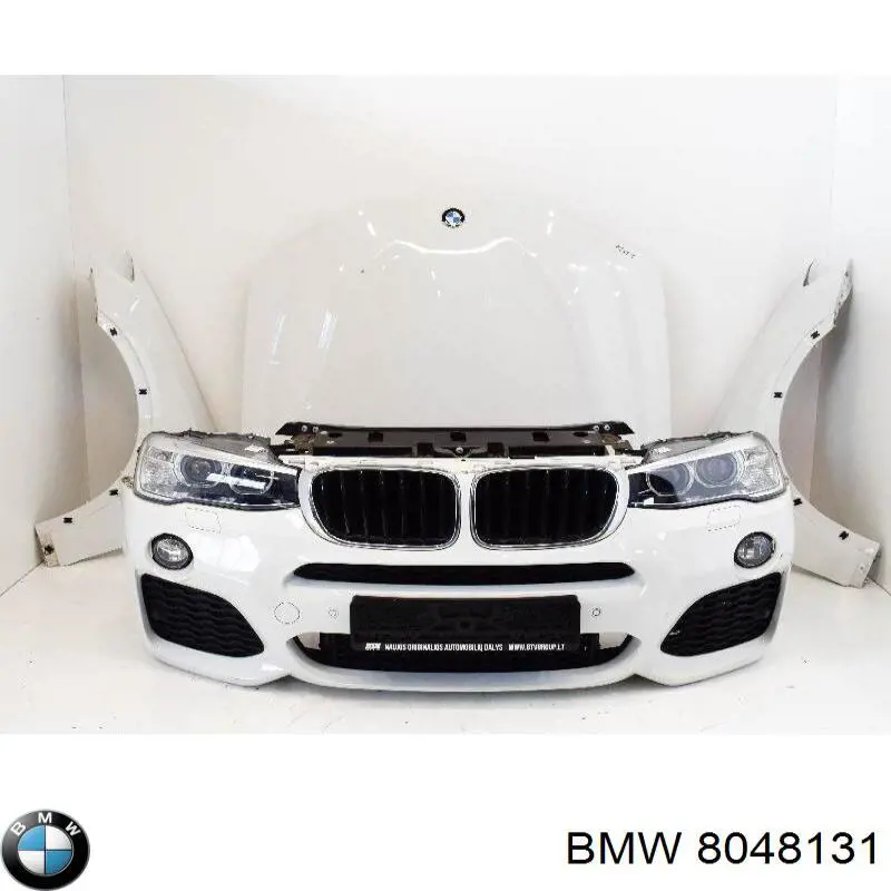 BMW 8048131
