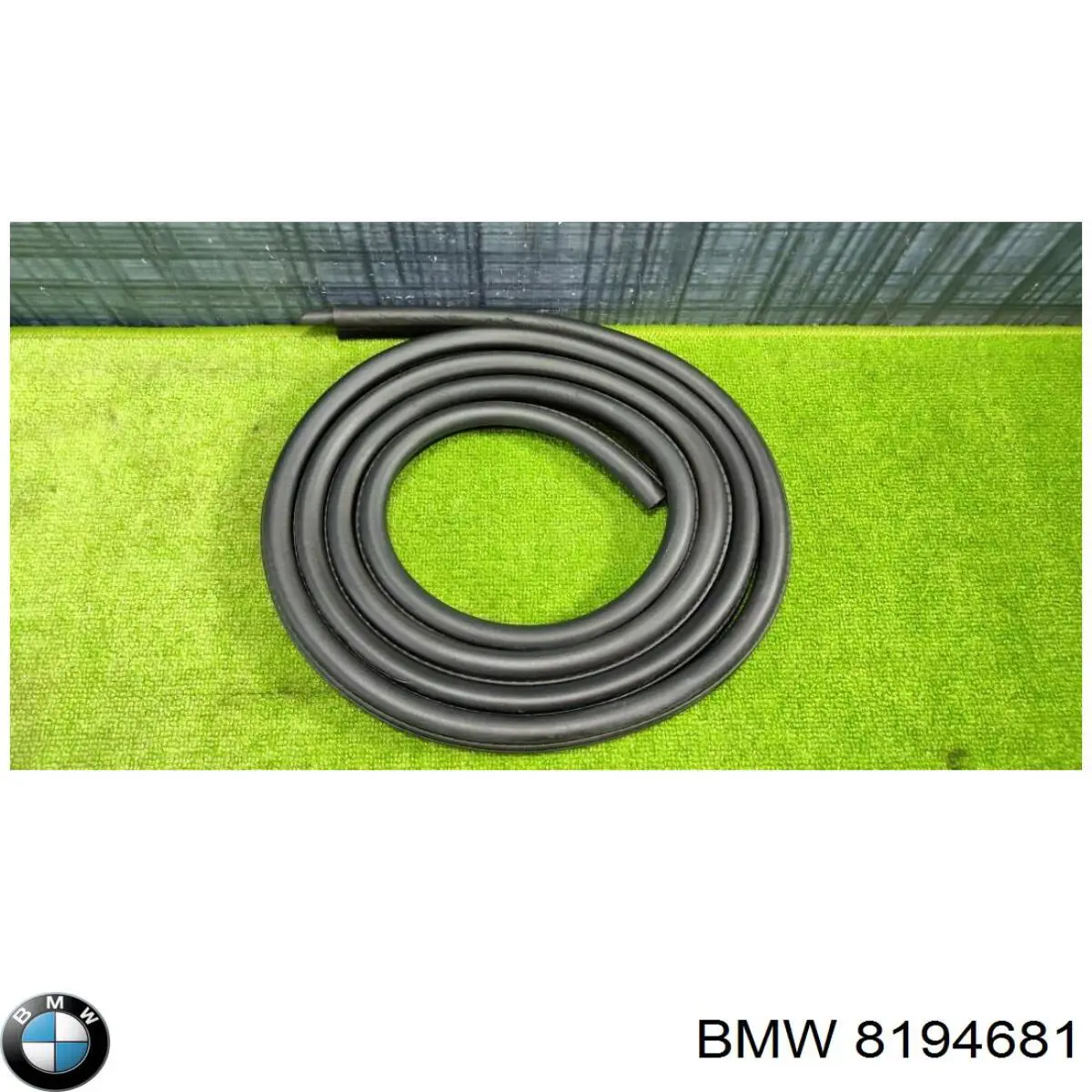 8194681 BMW 