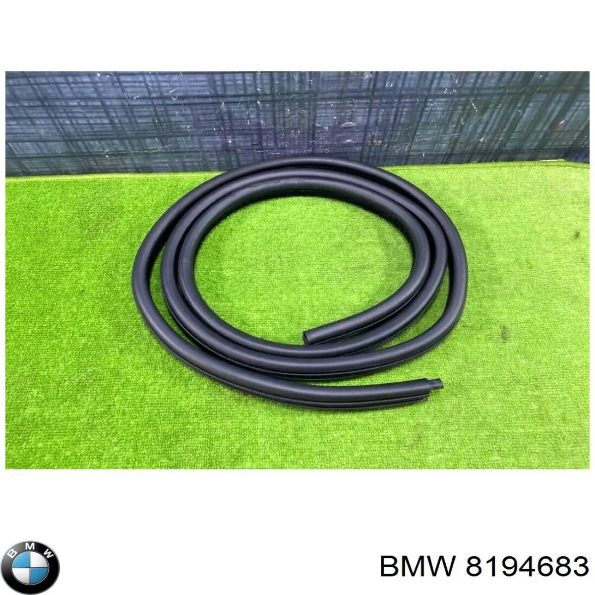  8194683 BMW