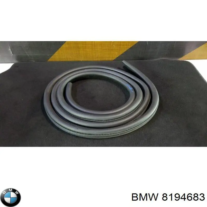 8194683 BMW 