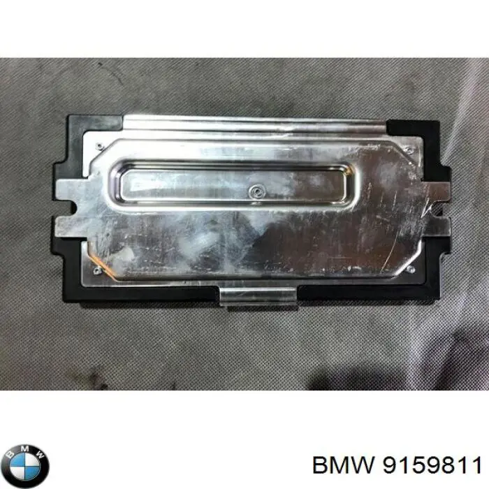 61359159811 BMW 