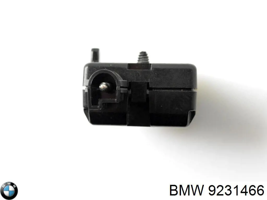 9231466 BMW 