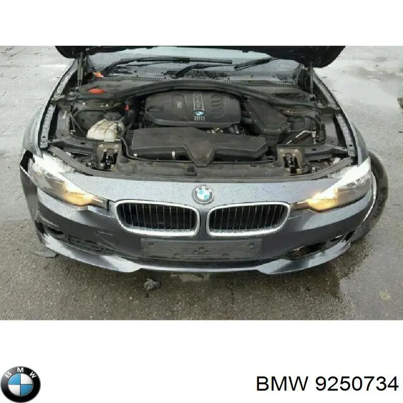 9250734 BMW Кнопка запуску двигуна