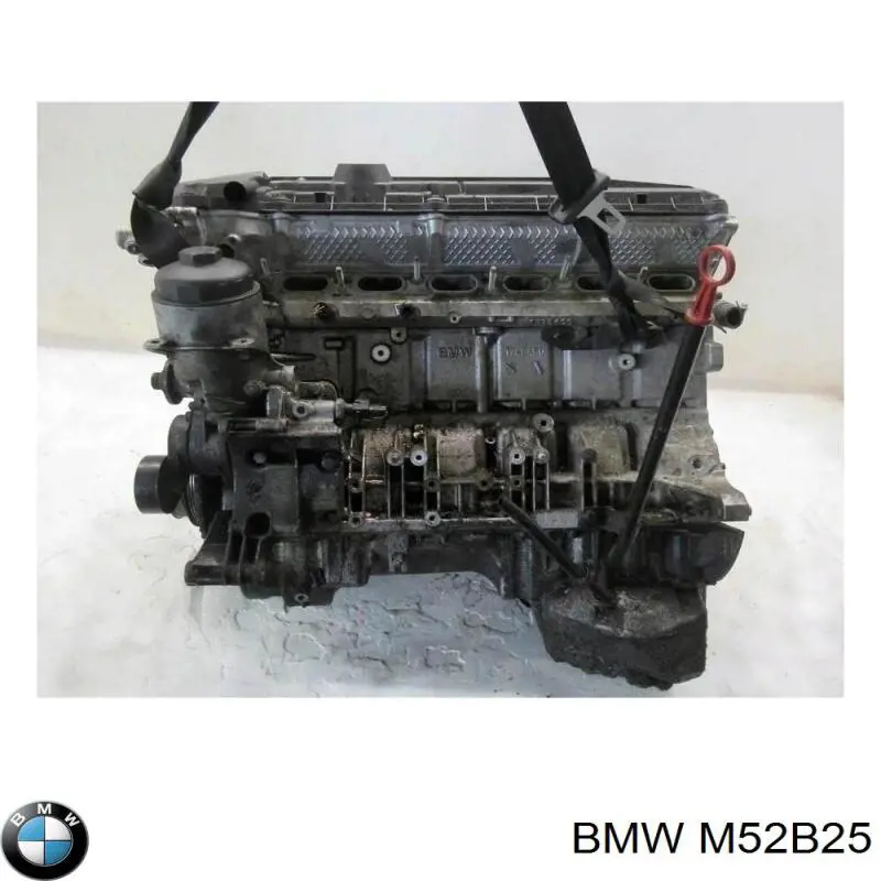  BMW M52B25 ціна, від 262.56 USD