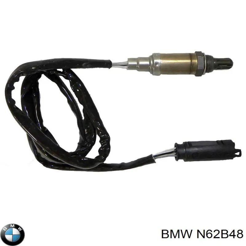N62B48 BMW 