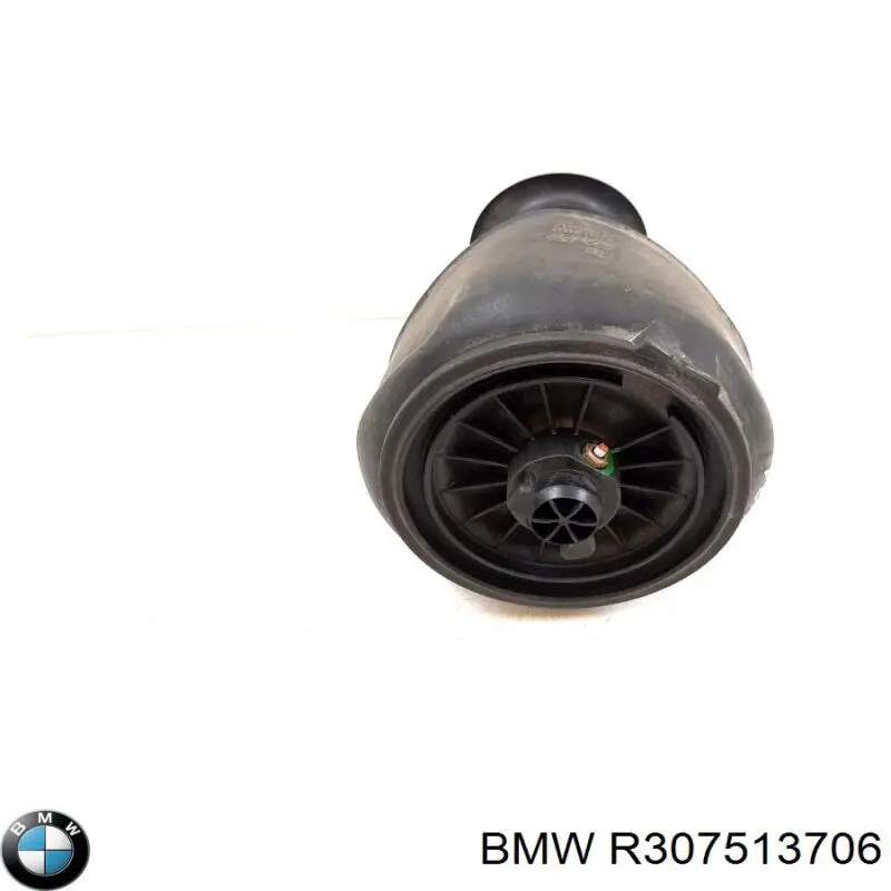  R307513706 BMW