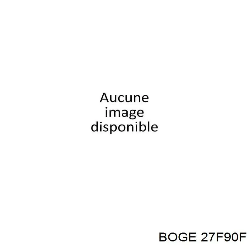 27F90F Boge Амортизатори задні