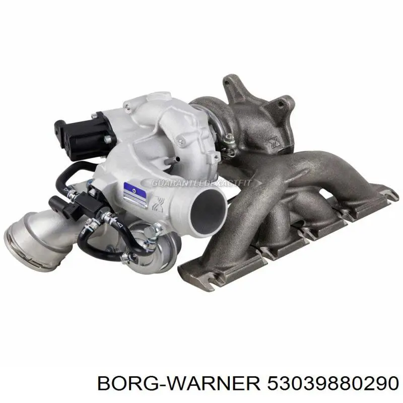 53039880290 Borg-Warner Турбонаддув