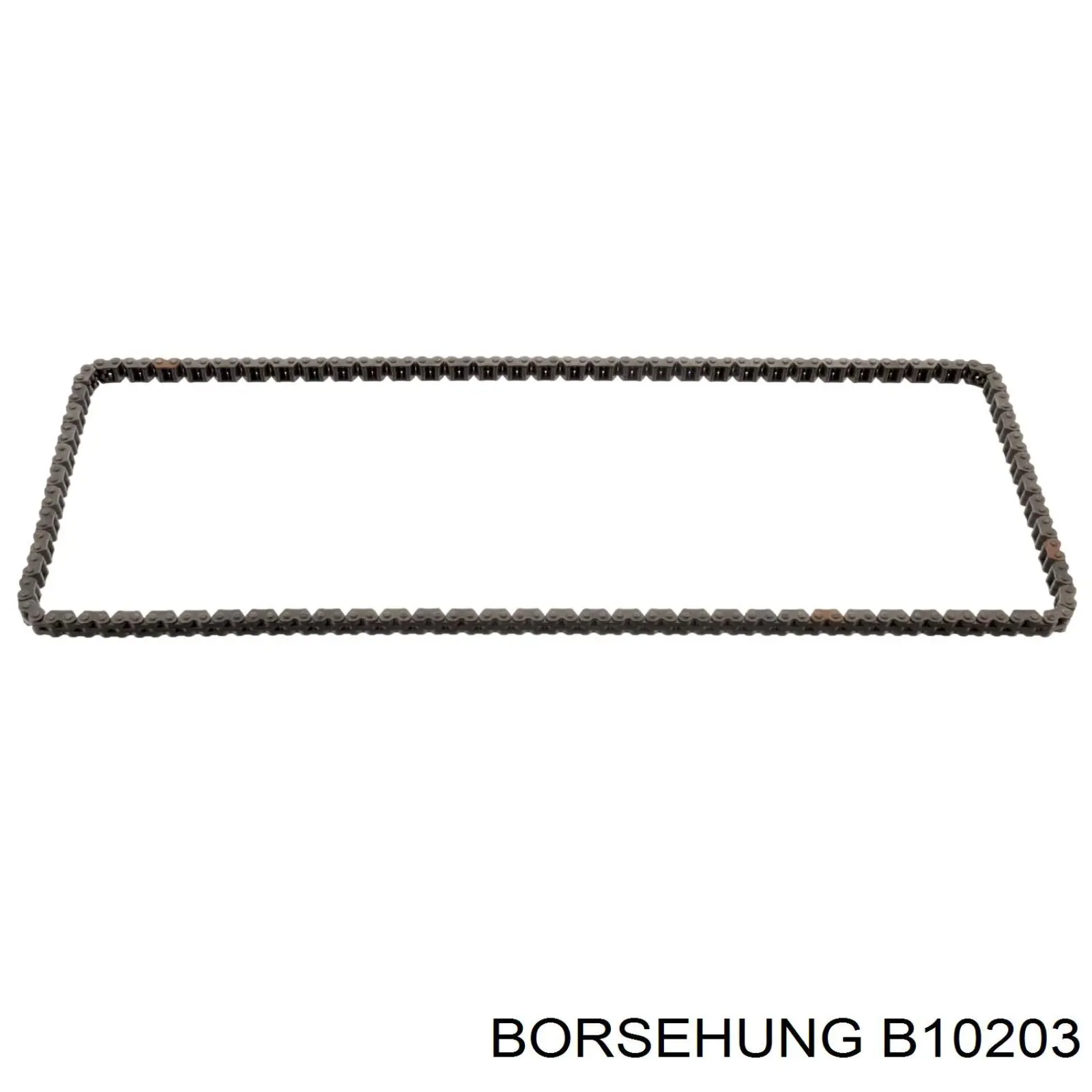 Купити B10203 Borsehung Комплект ланцюга ГРМ