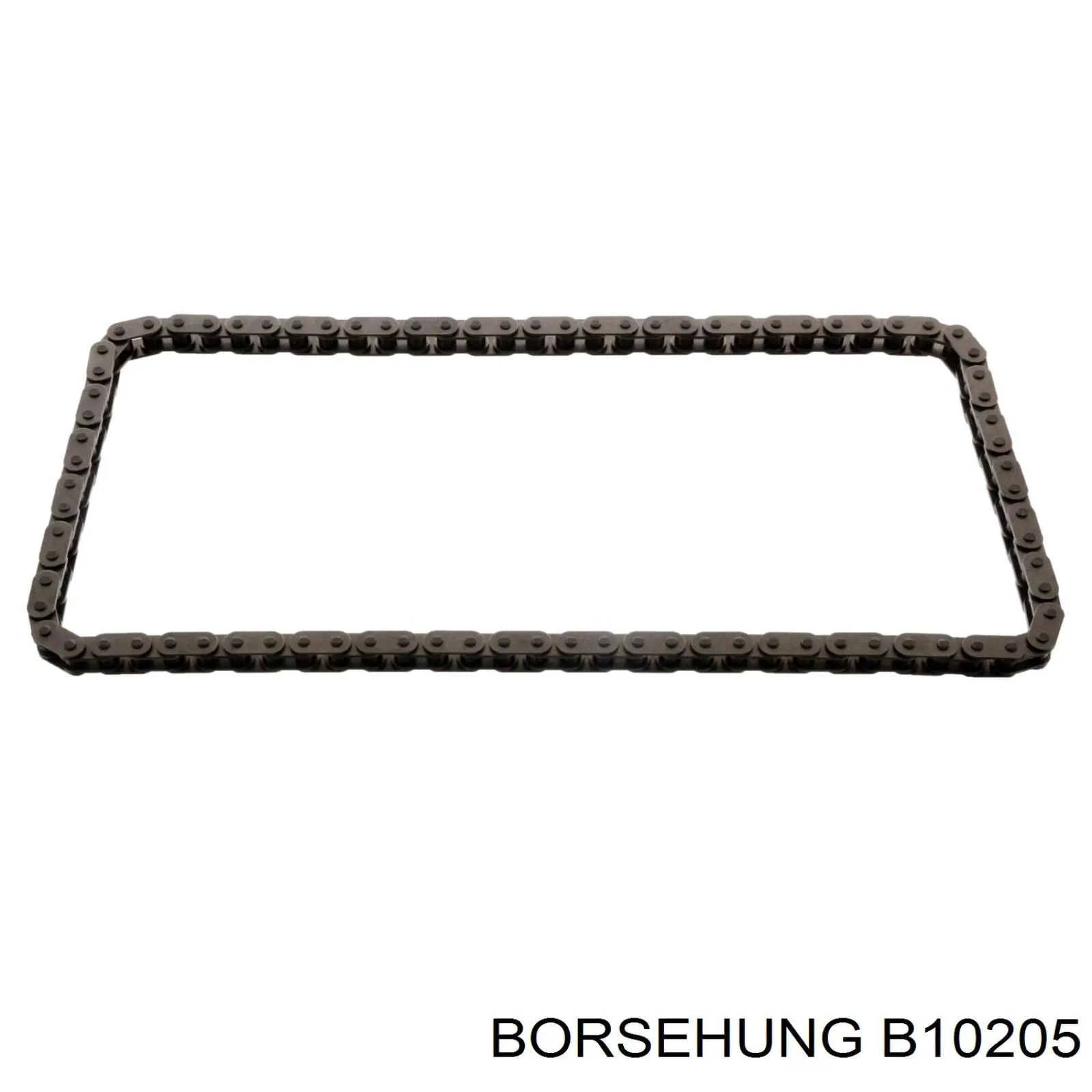B10205 Borsehung 