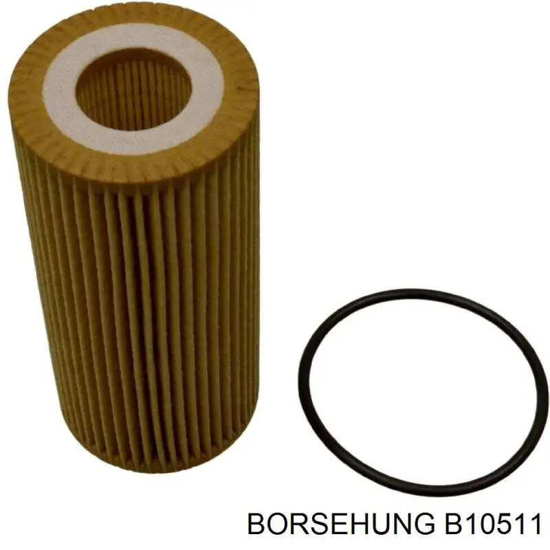 Купити B10511 Borsehung Фільтр очищення масла відцентровий